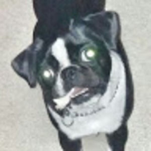 Meet your Posher, Lori